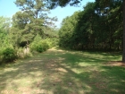 View of back acreage